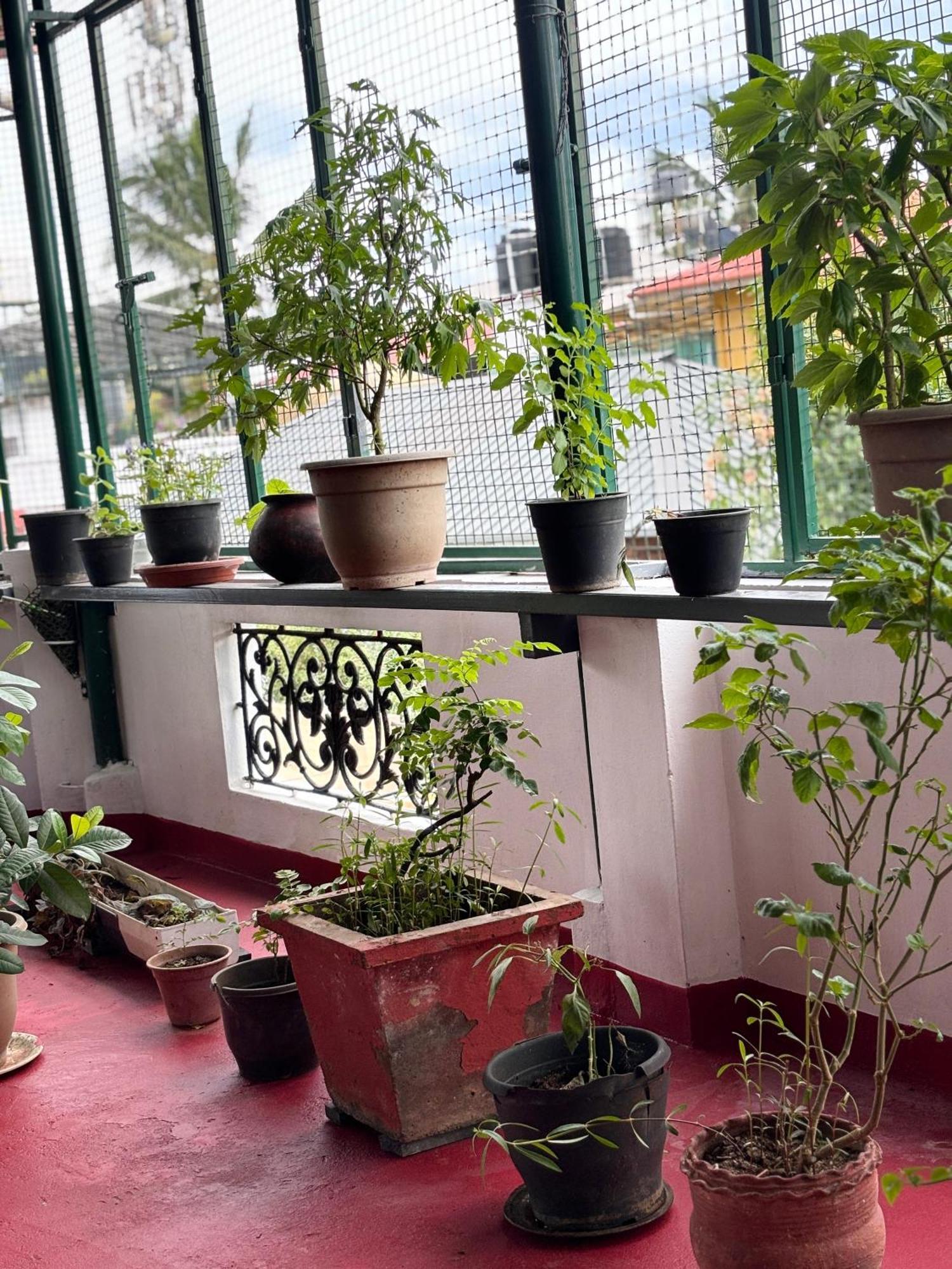 Beza Homestay Kochi 外观 照片